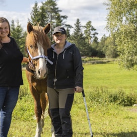 Ida Harlin (vas.) ja Liisa Hytönen kunnioittavat suomenhevosia. Kuvassa myös ori Kipinän Toivo.