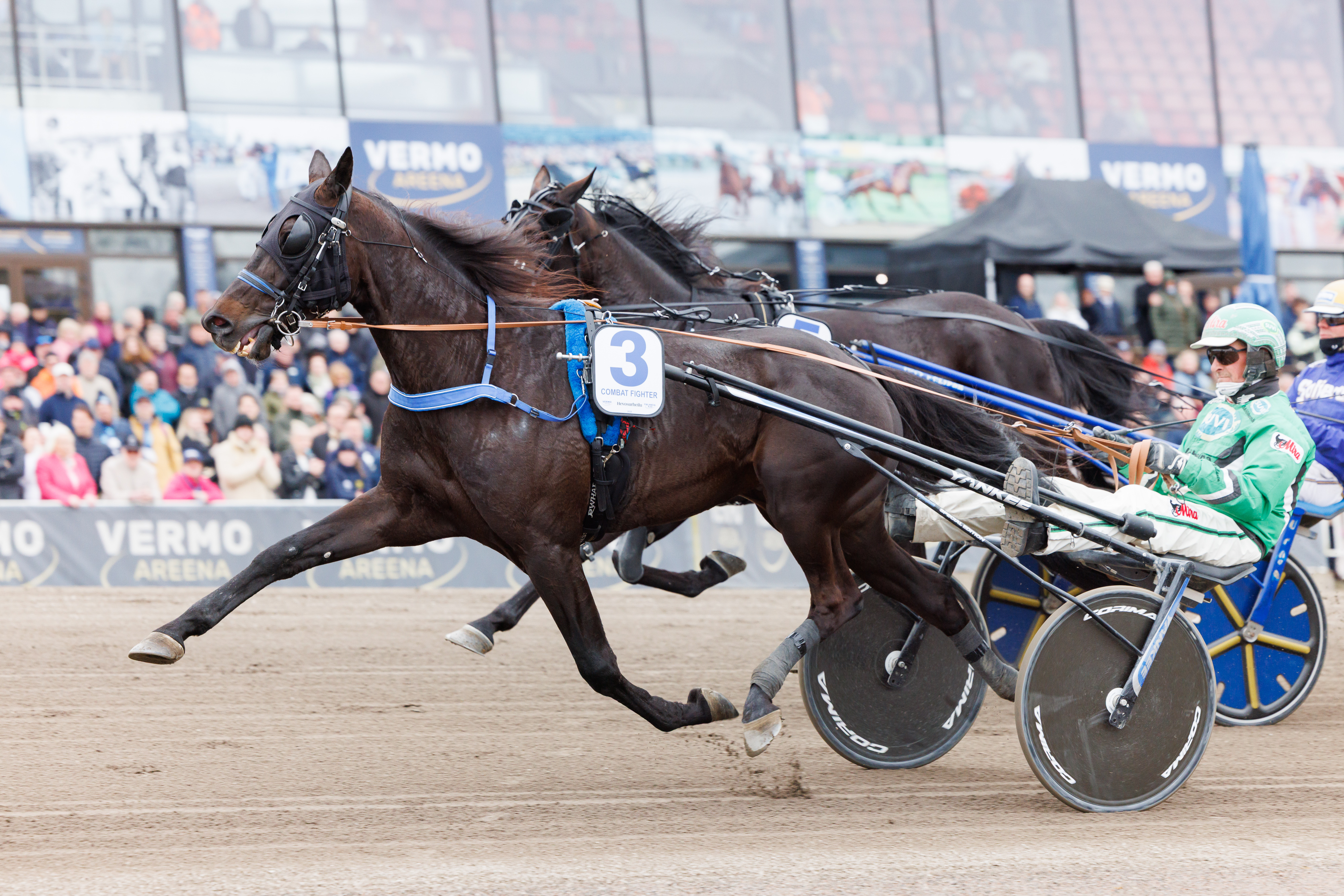 Combat Fighter on kevään Finlandia-Ajon nelonen. Tuolloin ohjaksissa oli Ari Moilanen. Lauantaina ruunaa ohjastaa Santtu Raitala.