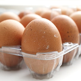 EU-määräyksen mukaan kananmunan parasta ennen -päiväys on 28 vuorokauden päästä muninnasta.