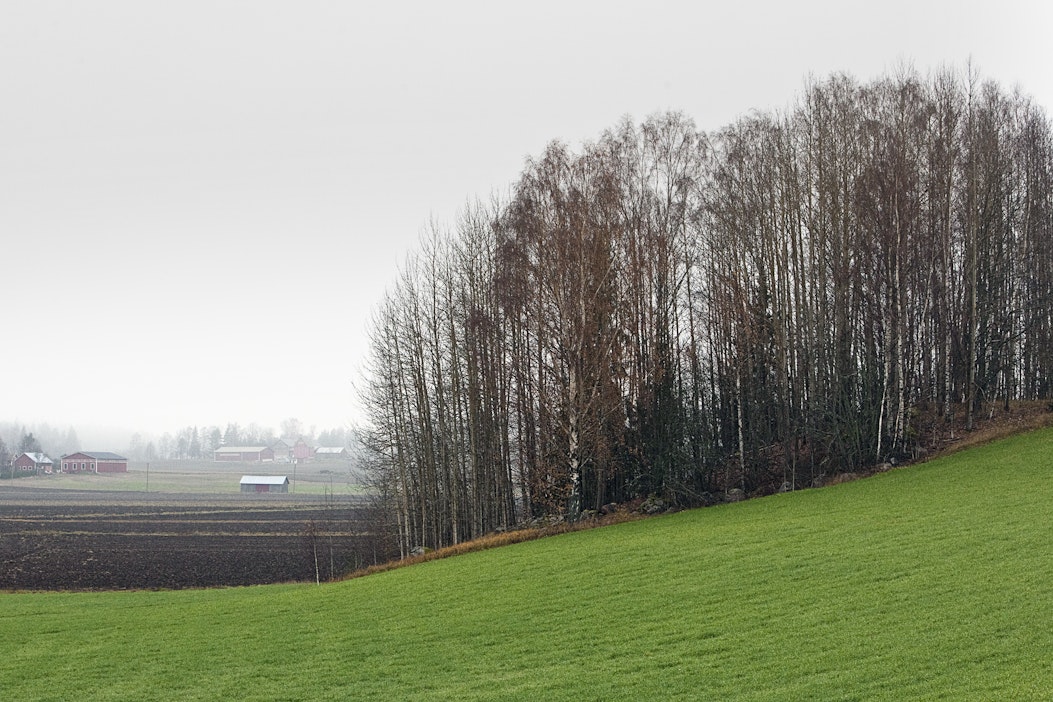 Eteläisessä Suomessa on luvassa lauhaa ensi viikollakin.