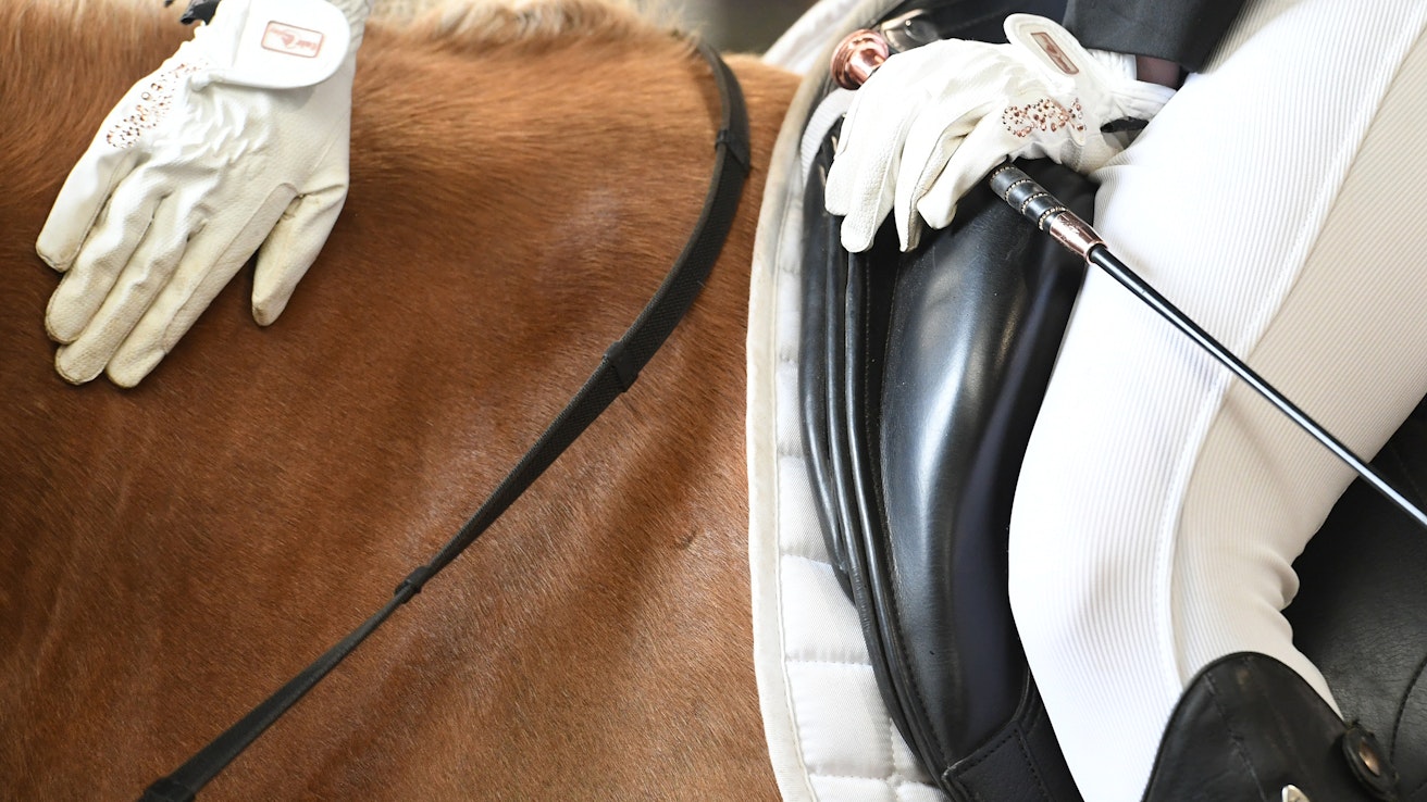 Euroopan Ratsastajainliitto EEF on julkaissut avoimen, lyhyen kyselyn hevosten hyvinvoinnista. Kuvituskuva.