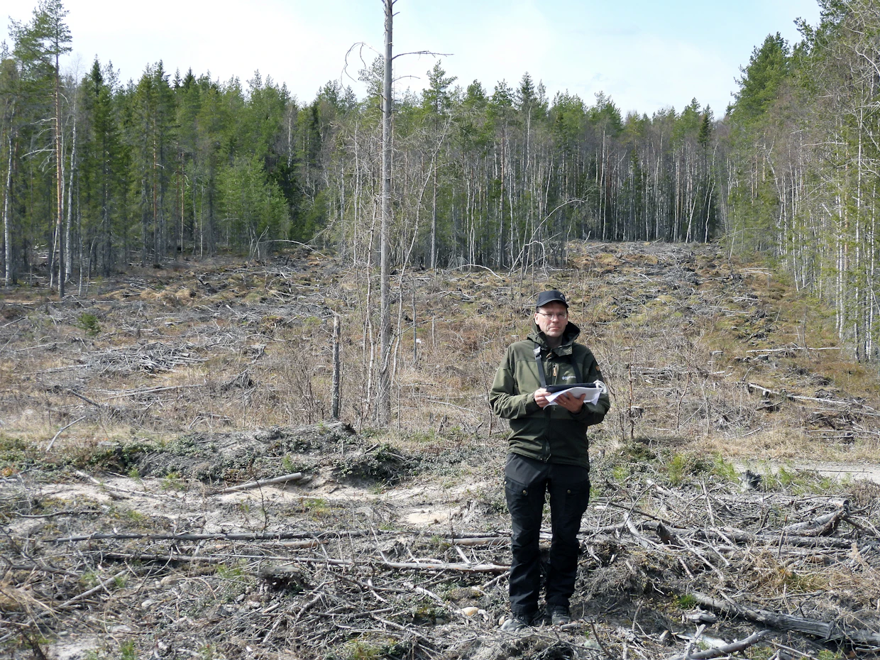 Metsäneuvoja Ilkka Ronkainen Keminmaalta esittelee seudulle tyypillistä kapeaa metsäpalstaa, joka on pirstottu kantatilasta perinnönjaon yhteydessä. ”Tämän palstan leveys on 38 metriä”, Ronkainen sanoo.