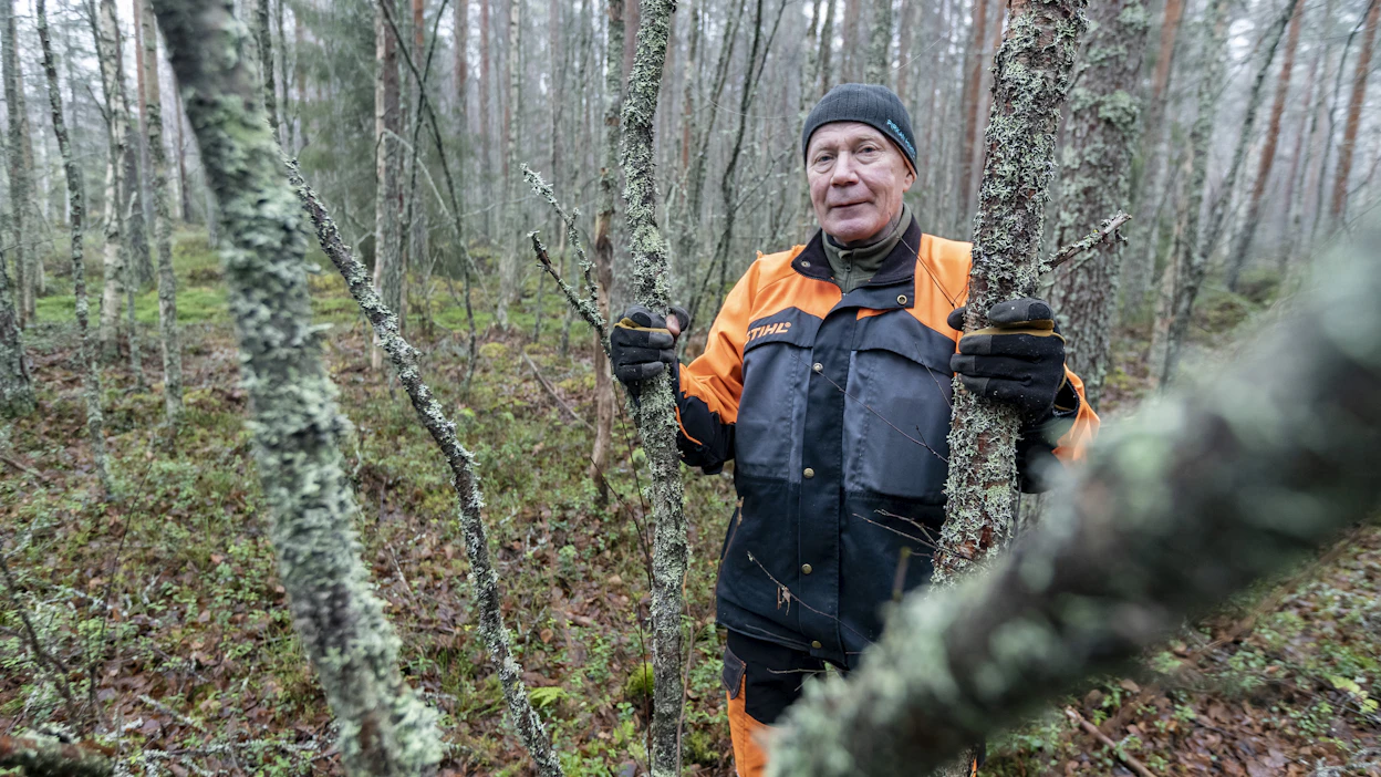 Matti Äijö tuttuakin tutummassa ympäristössä. Äijö on tehnyt pitkän uran metsäalalla ja hoitanut omia metsiään.