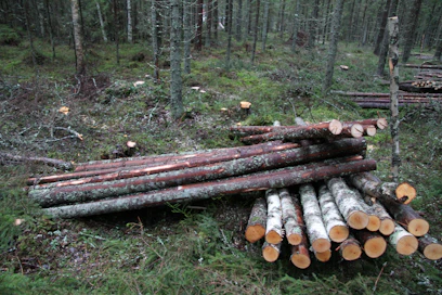 Viime viikko nousi kahden miljoonan kuution puukaupoilla vuoden vilkkaimmaksi. 