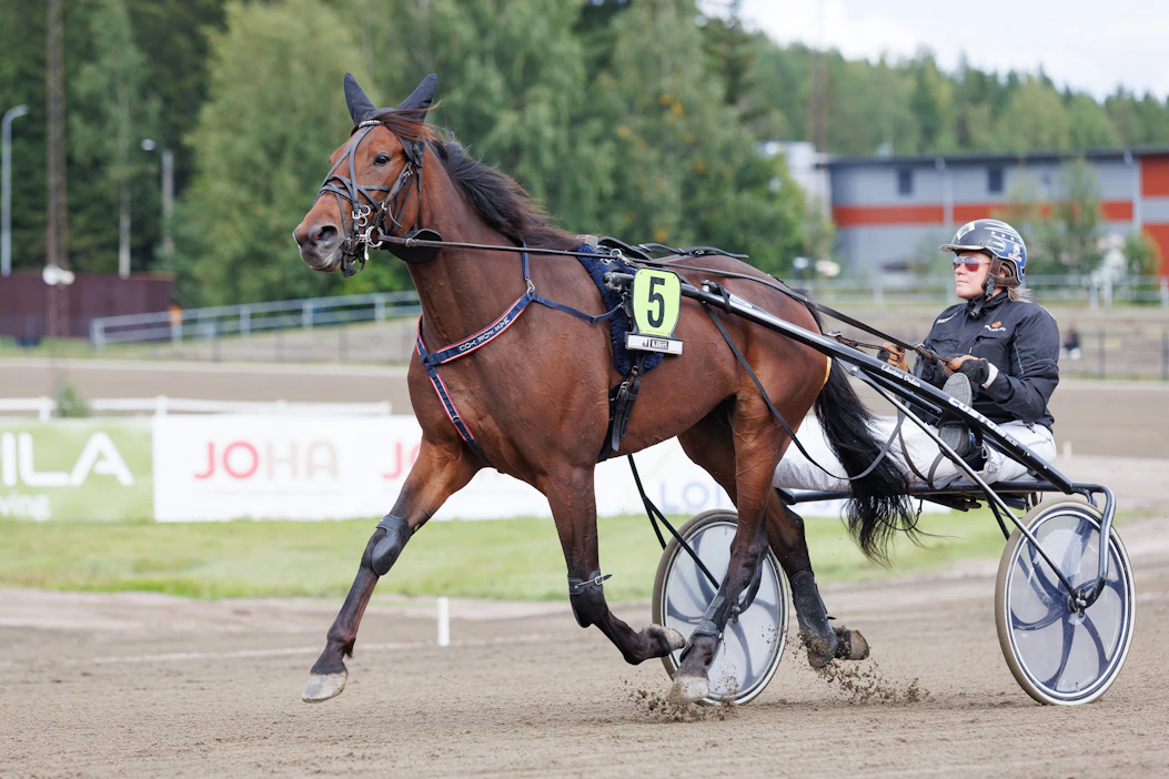 Edellinen omistaja ja valmentaja Tanja Goman-Nieminen lämmittelemässä MAS For Youta Killerjärven raveissa tänä kesänä.