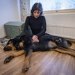 Oikeaoppinen paineluelvytyksen tapa, painelun kohta ja asento riippuu koiran koosta ja rintakehän mallista. Linda Smeds esittelee elvytystä leveärintaisen rottweiler-tornjakin sekoituksen Baban kanssa. Tällaista koiraa olisi hyvä elvyttää koiran ollessa selällään.