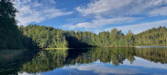 Luonnonperintösäätiön uusi suojelumetsä sijaitsee Parikkalassa Likolammen rannalla.
