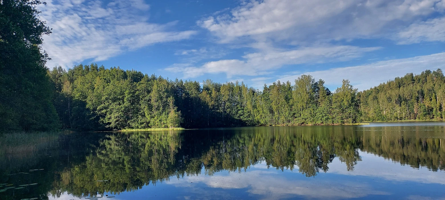Luonnonperintösäätiön uusi suojelumetsä sijaitsee Parikkalassa Likolammen rannalla.