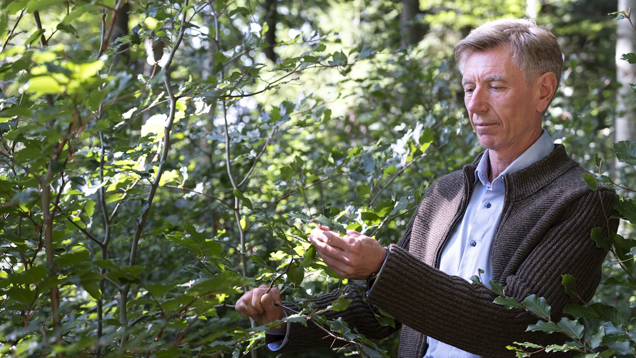 Franz Lanschützerin mukaan Itävallassa Salzburgin osavaltiossa erityisesti alueen pieniä metsänomistajia on ohjeistettu myymään kaiken myytävissä olevan puun vuoden loppuu mennessä.