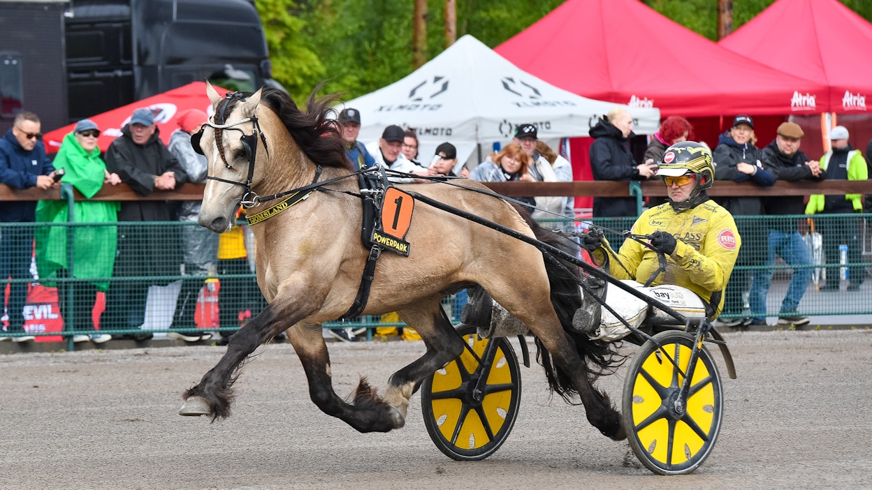 Seitsenvuotiaaksi kääntynyt Brenne Borken on valmis uusiin mainetekoihin.