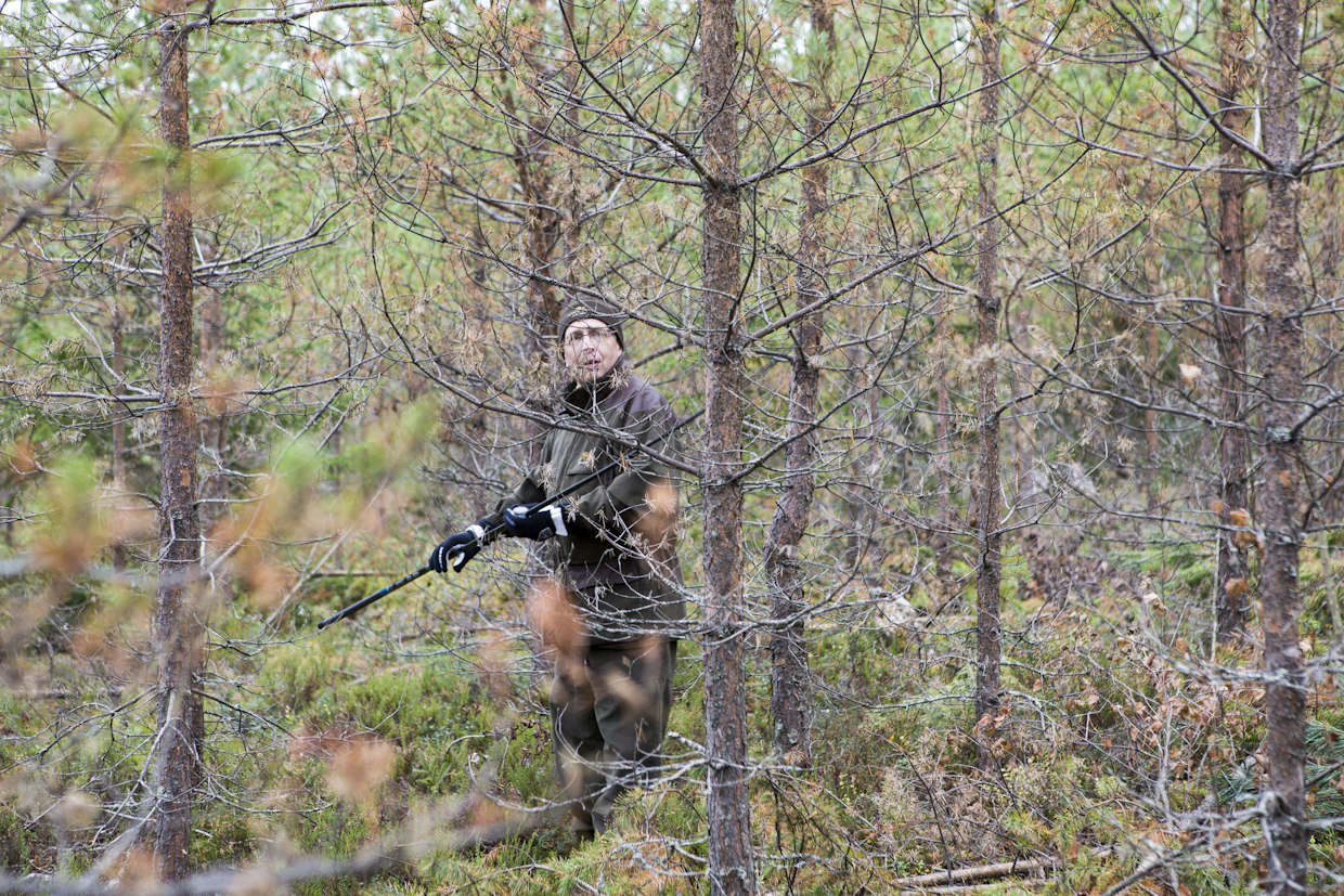 Metsien kasvatustiheyttä halutaan nostaa ilmastonmuutokseen liittyvistä syistä.