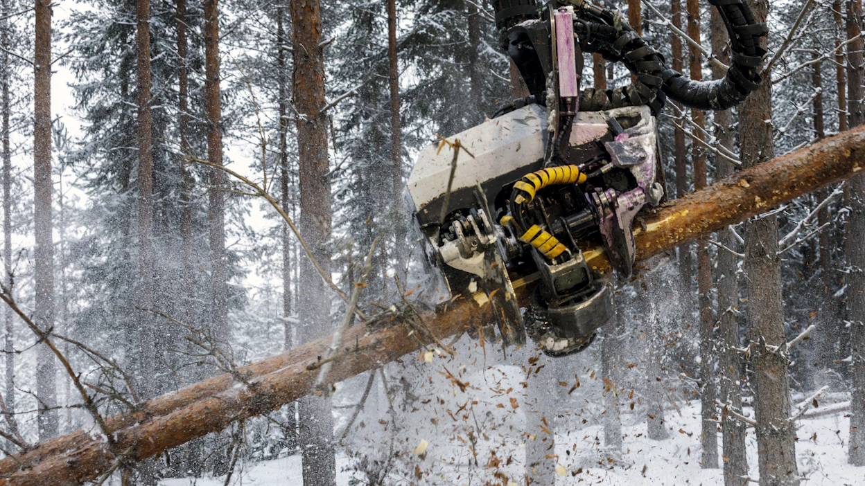 Luonnonvarakeskuksen mukaan kotimaisen puun kysynnän kasvaminen ja sen myötä hakkuumäärän kasvaminen vaikeuttaa Suomen hiilineutraaliustavoitetta.
