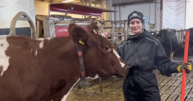 Janina Sivonen muistuttaa, että eläinten kanssa pitää toimia rauhallisesti ja antaa niiden itse päättää, haluavatko rapsutuksia vai ei. 