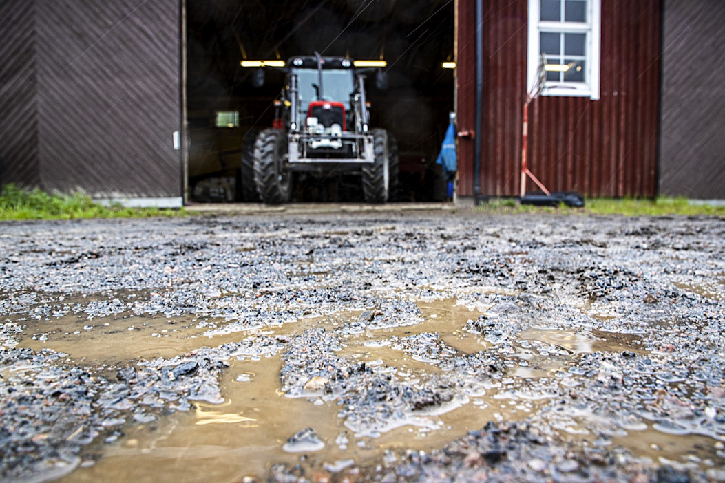 Lukijalta: Meiltä loppuvat vihreiden konsteilla itsenäisen valtion  peruskivet ‒ ruoka ja energia - Mielipide - Maaseudun Tulevaisuus