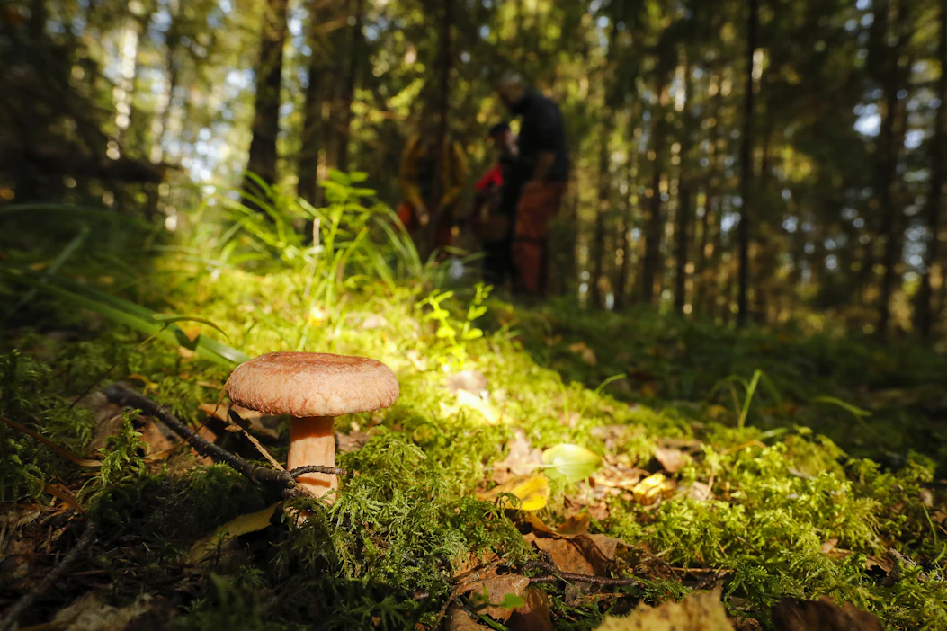 Maanantaipäivä on poutainen lähes koko maassa, ainoastaan maan länsiosassa voi tulla vähäisiä kuuroja säärintaman kohdalla.
