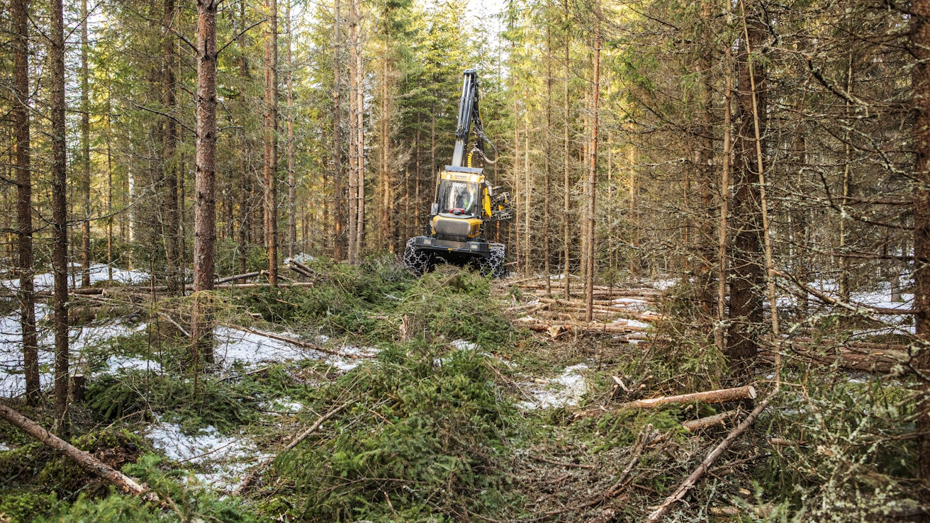 Metsänomistajien mielestä nykyinen metsäkeskustelu hyödyttää lähinnä ympäristöjärjestöjä.