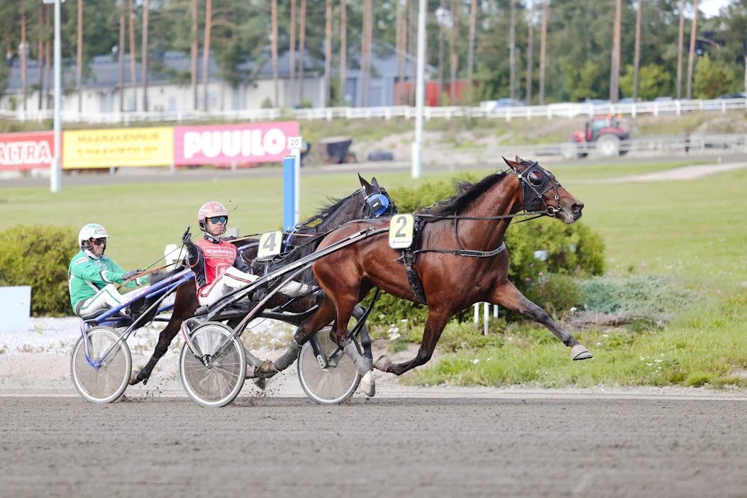 Lightning Stride kirimässä vakuuttavasti Tammakriteriumin ykköseksi reilu kuukausi sitten. Santtu Raitala tuulettaa.