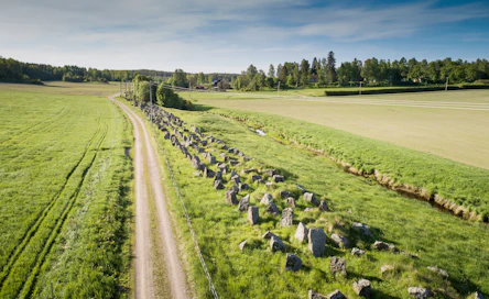 Panssariesteiden rivistö keskellä eteläkarjalaista peltomaisemaa jatkuu silmänkantamattomiin. 