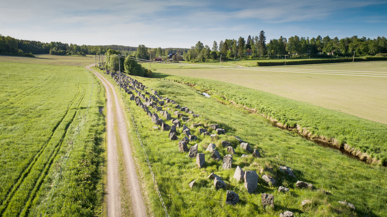 Panssariesteiden rivistö keskellä eteläkarjalaista peltomaisemaa jatkuu silmänkantamattomiin.