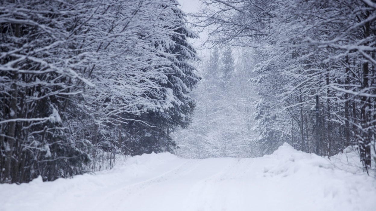 Lunta voi sataa jopa kymmenen senttimetriä.