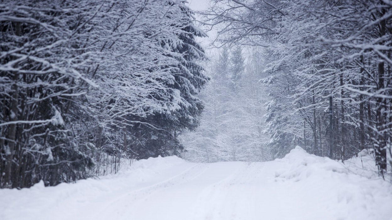 Pohjoisessa pakkaset väistyvät ja luvassa on lumisateita.