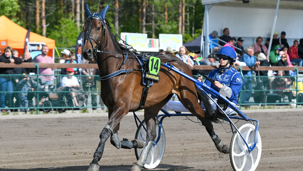 Carolina Krokvik on ohjastanut urallaan lähes 350 starttia. Tässä ajokkina Mythical Rokk.