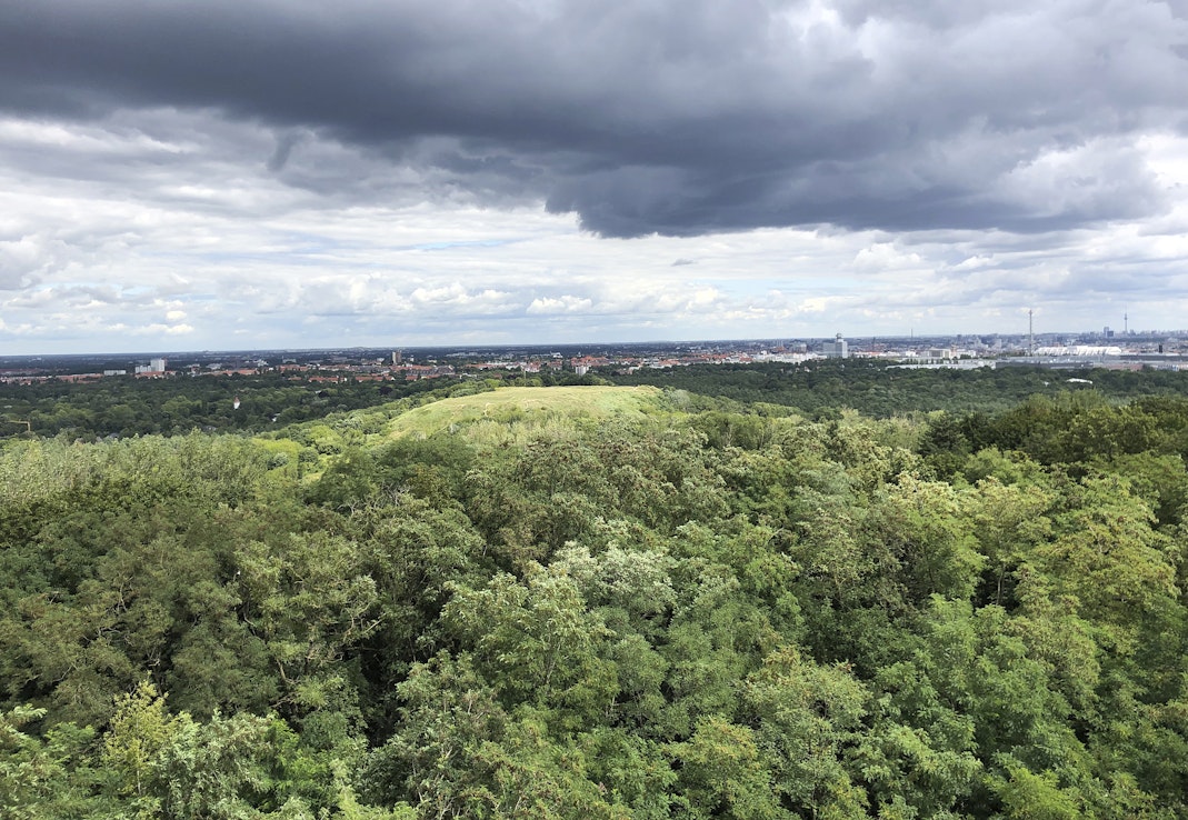 Noin kolmasosa Saksan maapinta-alasta on metsää. Kuvassa Grunewaldin metsää Berliinissä.