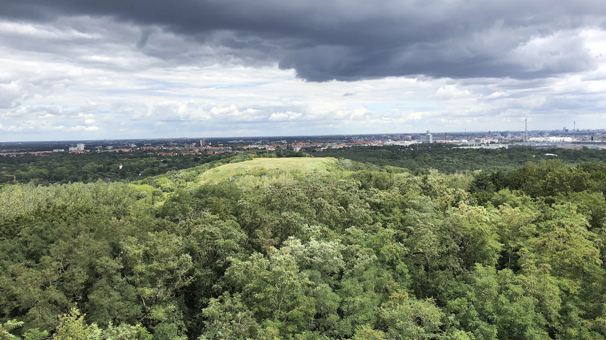 Noin kolmasosa Saksan maapinta-alasta on metsää. Kuvassa Grunewaldin metsää Berliinissä.