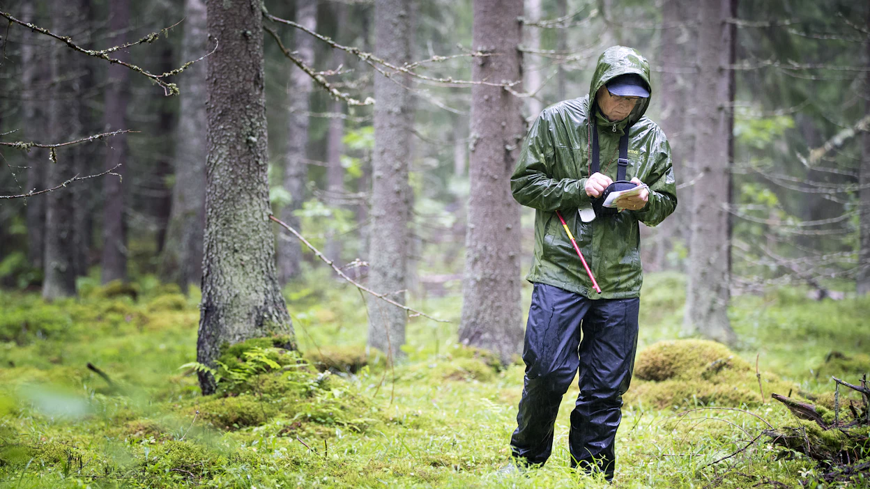 Suomessa on kattava järjestelmä, missä tietoa metsistä kerätään Valtakunnan metsien inventoinnin avulla.