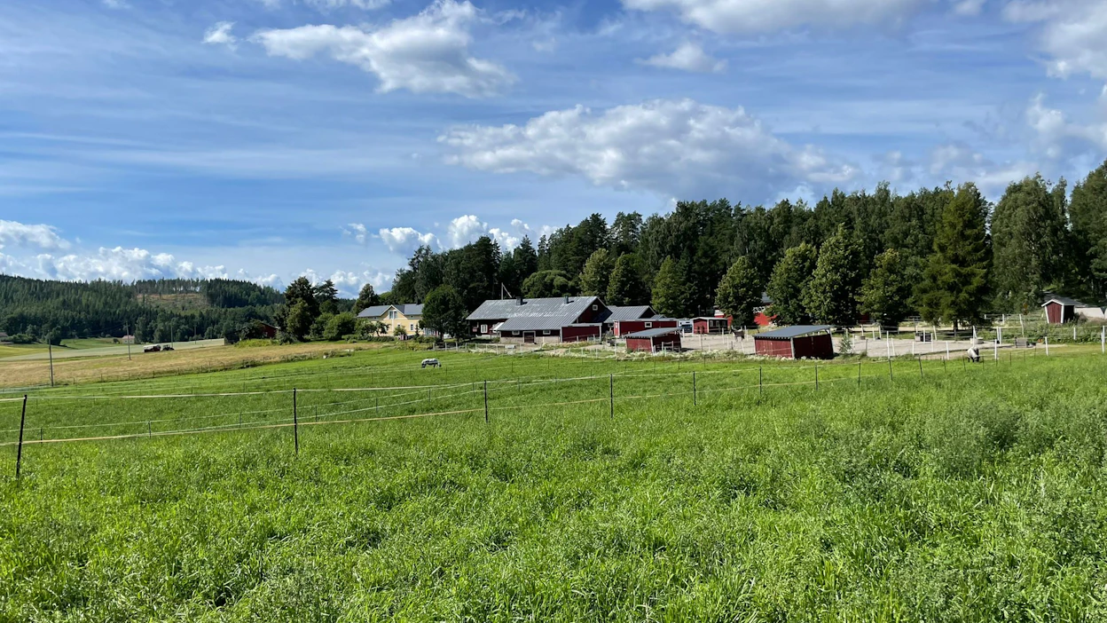 Suomalaisten kesäinen vaellus mökeille on kuin paluu juurille, rauhaan ja hiljaisuuteen.