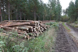 Kuusitukin keskihinta on kivunnut jälleen yli 80 euroon kuutiometriltä.