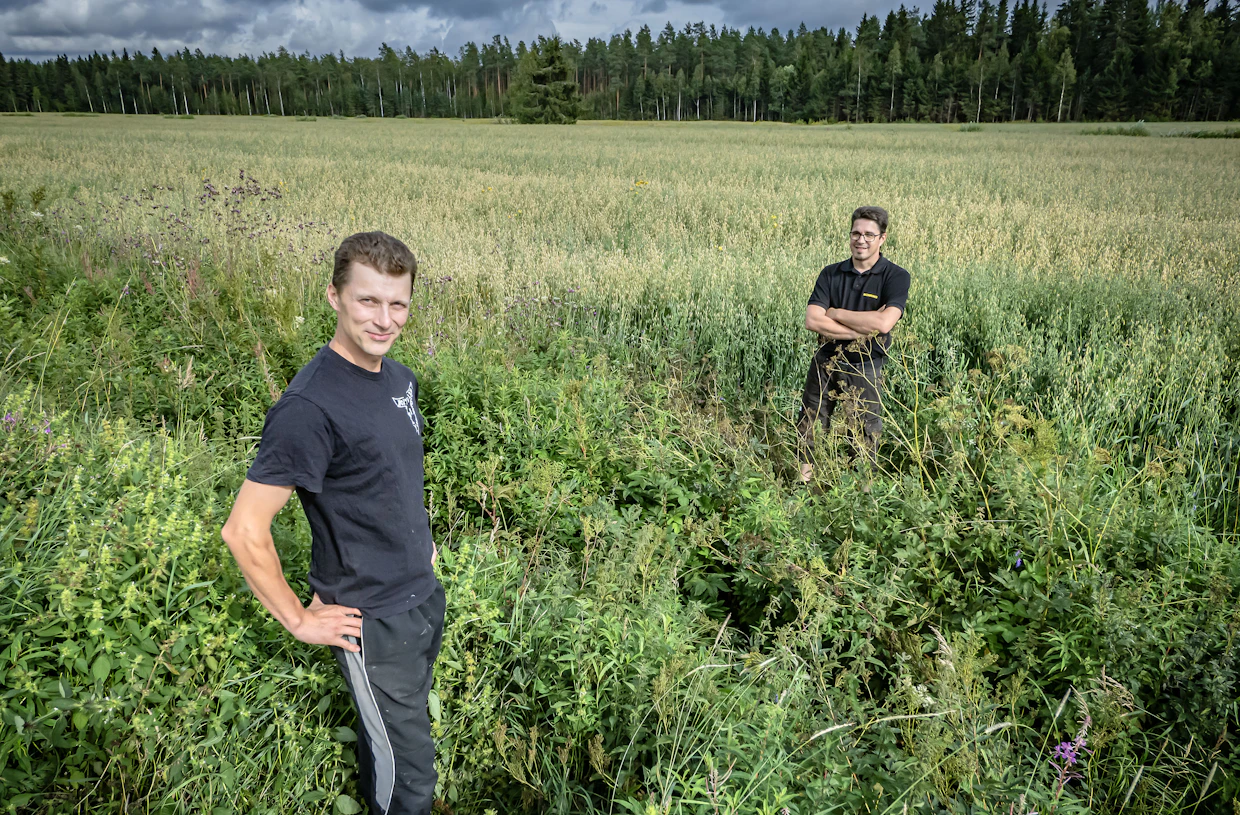 Sujuva yhteistyö tilojen välillä vaatii avointa keskustelua. Kuvassa Nortunen ja Heikkinen tilojen välisellä yhteisellä maarajalla.