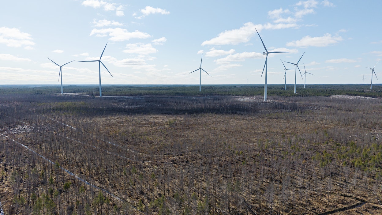 Tuulivoimaloita. Kuvituskuva.