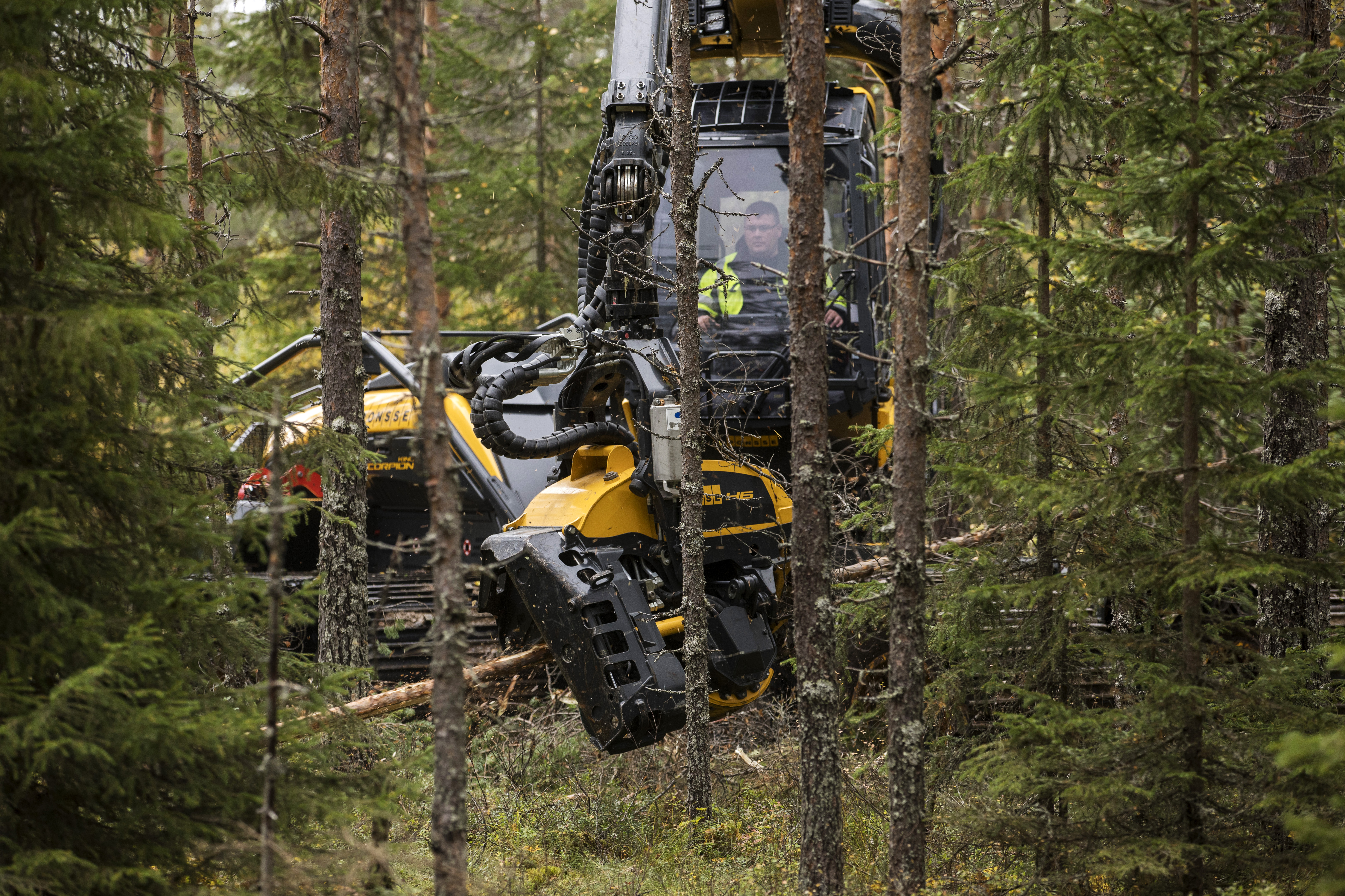 Yksityismetsisiä hakattiin puuta tammi-kesäkuussa vähemmän kuin vuosi sitten. Laskussa oli niin kertyneen tukin kuin kuidunkin määrä.