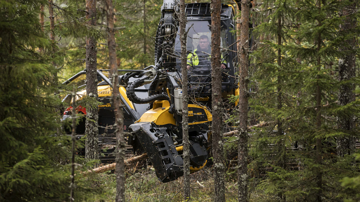 Yksityismetsisiä hakattiin puuta tammi-kesäkuussa vähemmän kuin vuosi sitten. Laskussa oli niin kertyneen tukin kuin kuidunkin määrä.