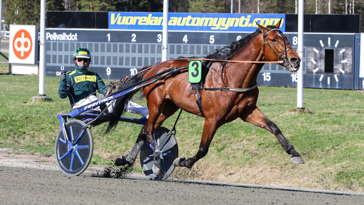 Hannu-Pekka Korven valmentama Imperator voitti Hannu Torvisen ohjastamana Kuopio Stakes -finaaliin keväällä ennen loukkaantumistaan.