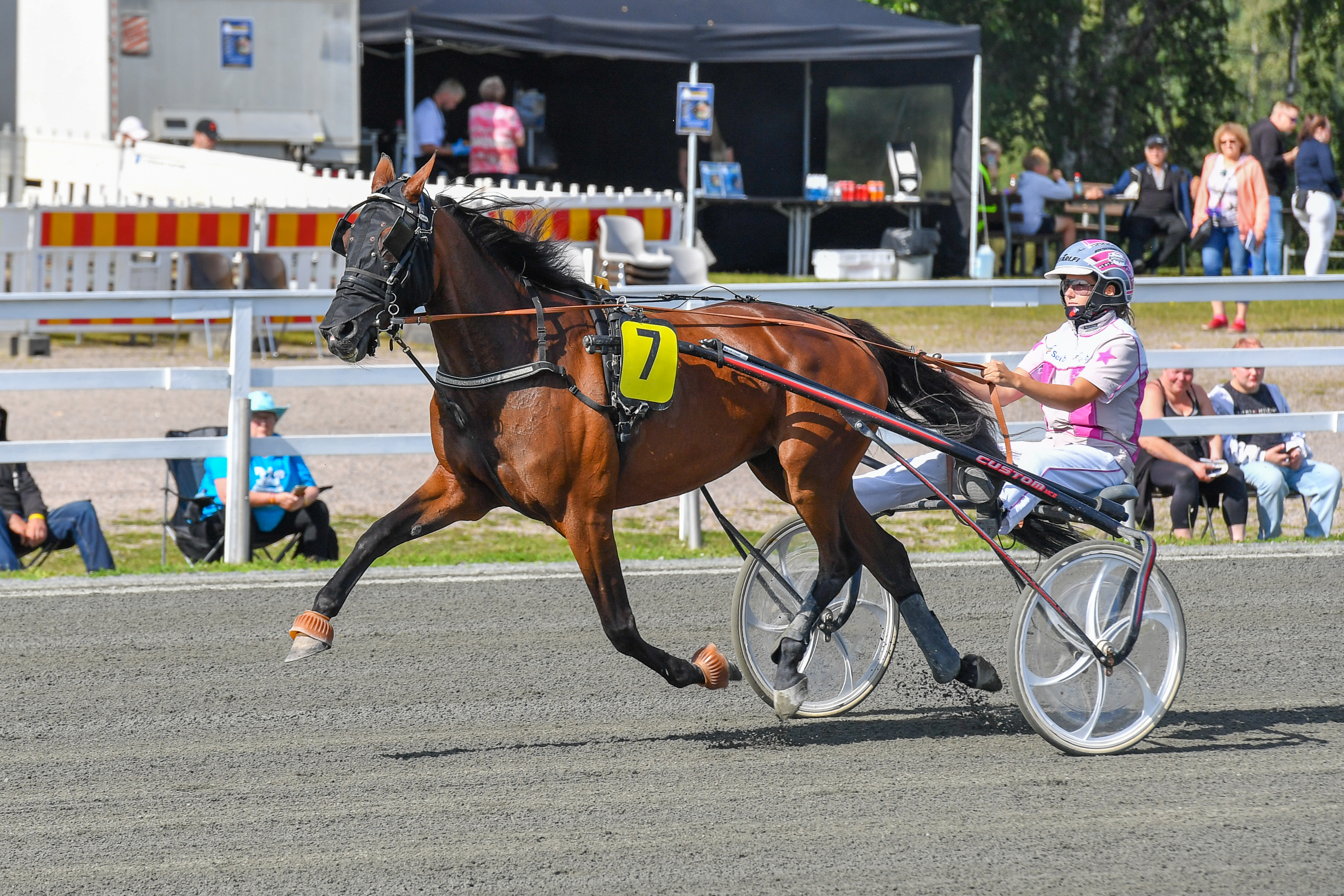 Sara Hautamäki ajaa sekä kärry- että montélähtöjä. Kuvassa Sara Hautamäki Veli-Erkki Paavolan valmentaman Amazing Mayn kanssa viime elokuussa Ylivieskassa.