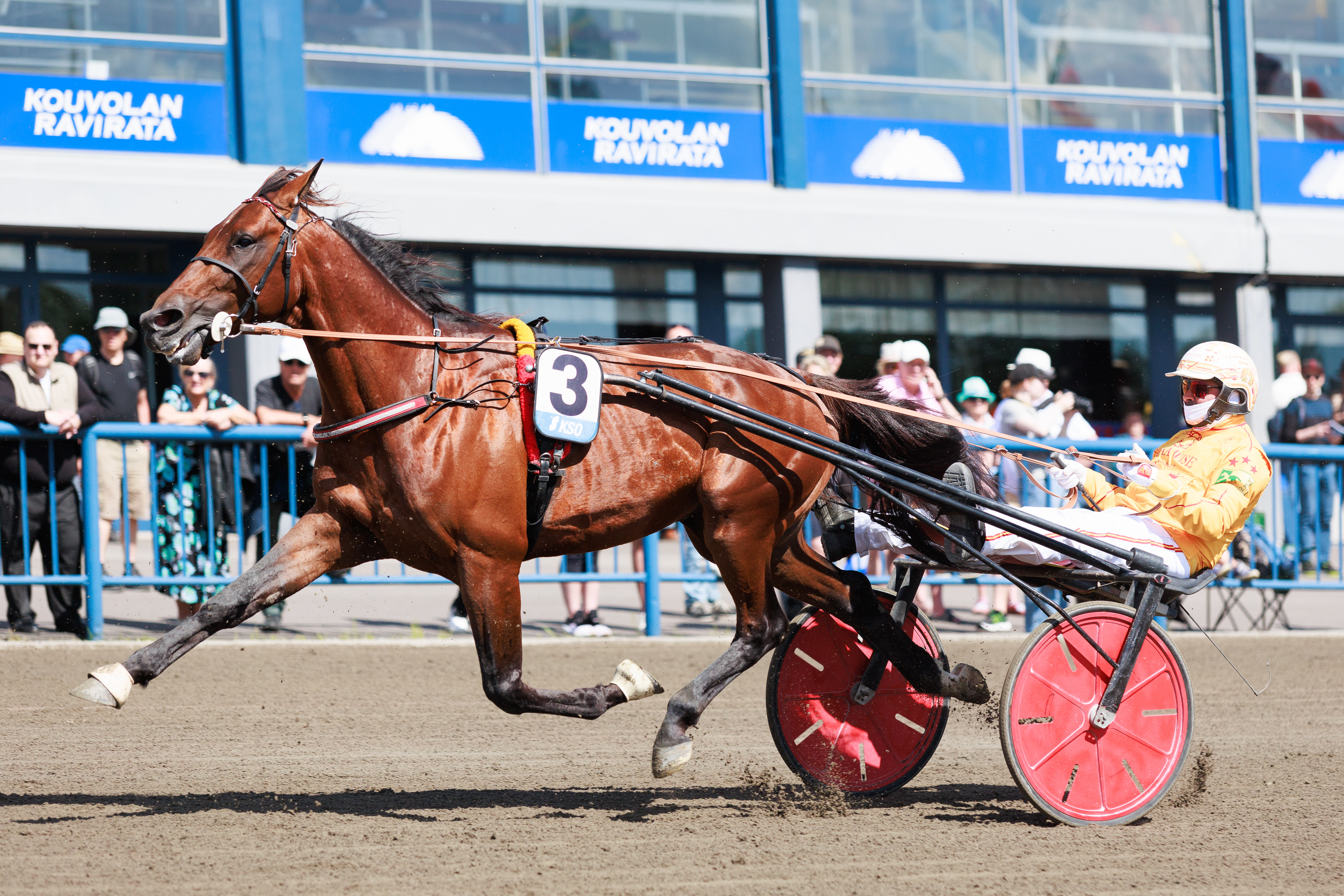 Dundee As kilpaili viime vuonna Kymi GP -raveissa Alessandro Gocciadoron ohjastamana.