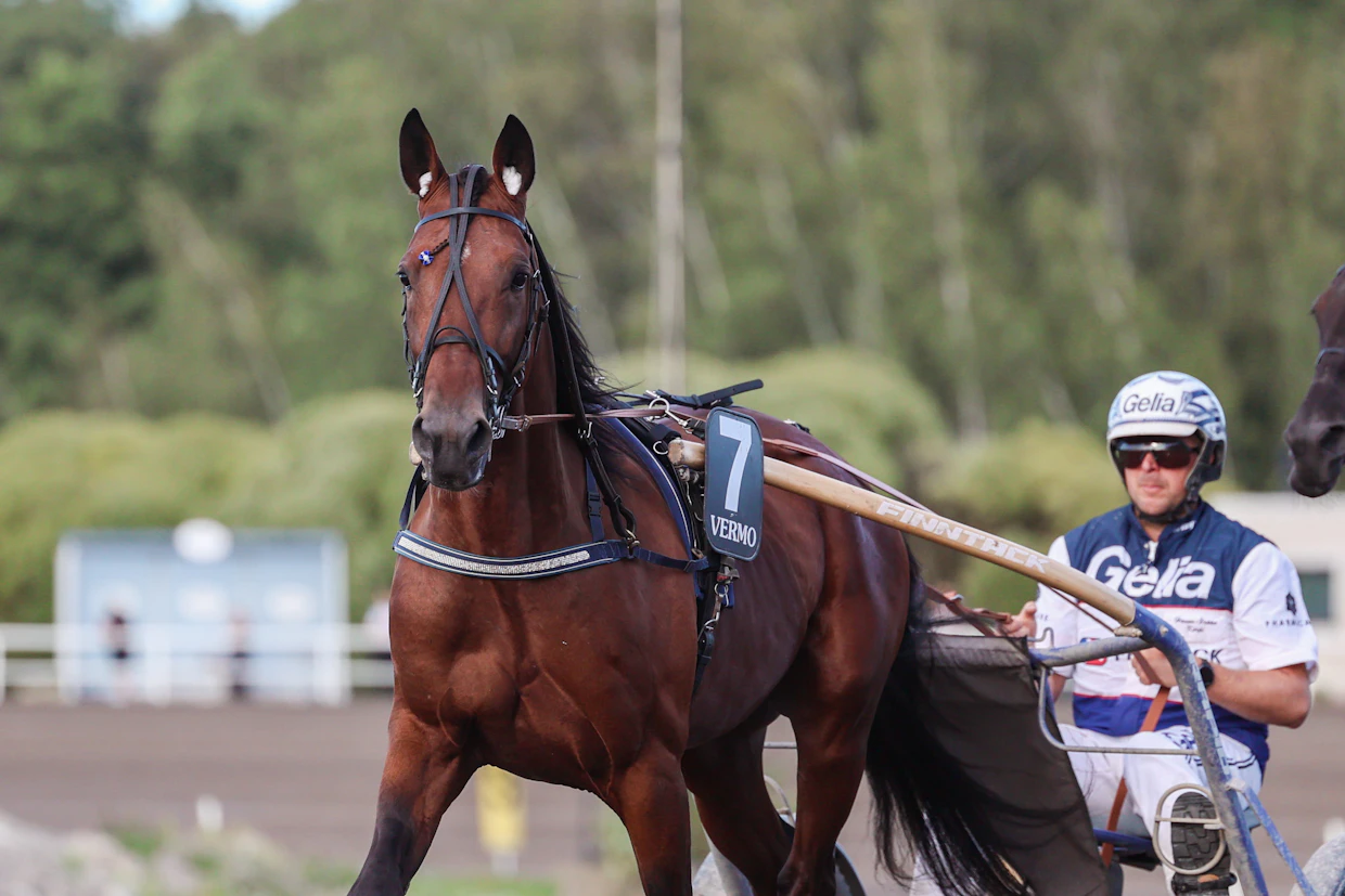 Endurance Boy on enemmän vahva kuin nopea.