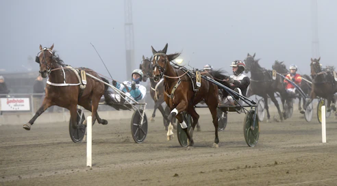 Lara Boko ja Mika Forss hallitsivat ME-ajalla nelivuotiaiden tammojen Breeders Crownia lauantaina varmasti, vaikka Glamorous Rain ja Örjan Kihlström yrittivät uhitella.