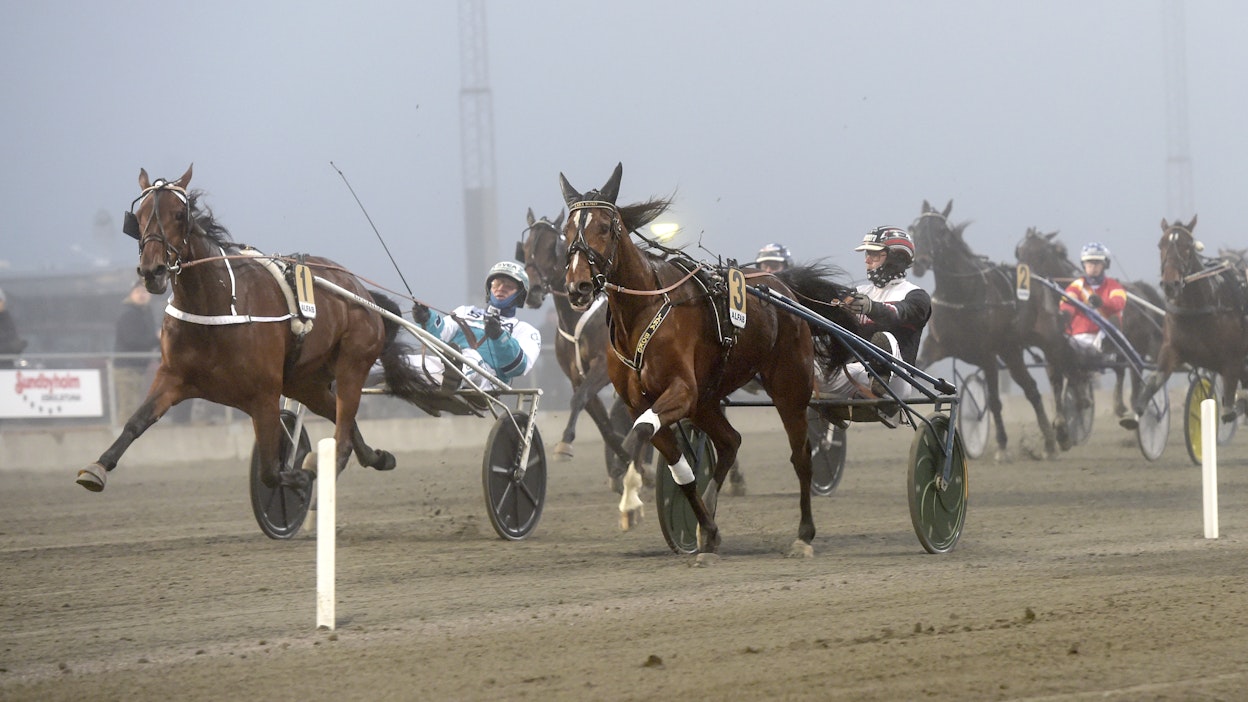 Lara Boko ja Mika Forss hallitsivat ME-ajalla nelivuotiaiden tammojen Breeders Crownia lauantaina varmasti, vaikka Glamorous Rain ja Örjan Kihlström yrittivät uhitella.