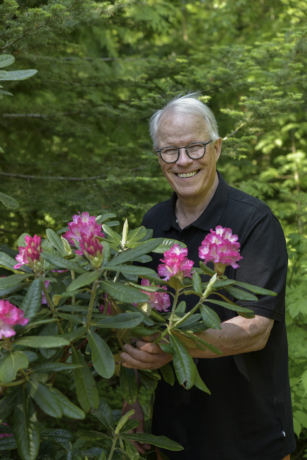 Yksi Erkki Frickin omista suosikeista on nimeämätön alppiruusu, jonka on risteyttänyt yksi Suomen alppiruusujalostajien uranuurtajista, jo edesmennyt Reijo Hahkala.