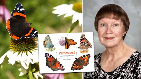 Silva Lehtinen: Perhoskesä: Lasten oma perhoskirja (2023). 102 sivua. Aurinko Kustannus.