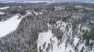 Metsätiloista maksettiin viime vuonna vuosituhannen kovimpia nimellishintoja.