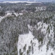 Metsätiloista maksettiin viime vuonna vuosituhannen kovimpia nimellishintoja.
