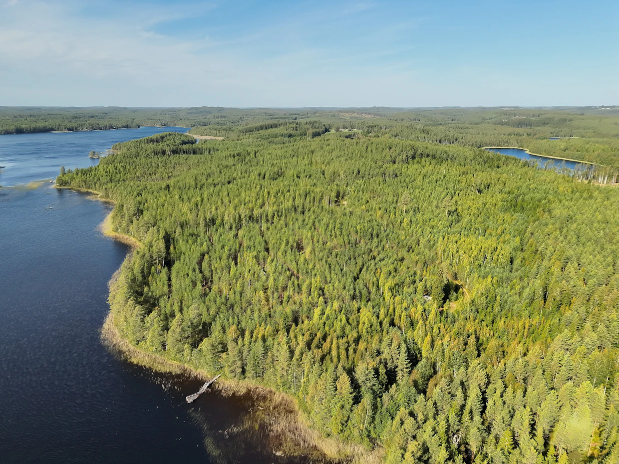 Metsät sijaitsevat Sulkavalla osin järvenrantamaisemissa. Palstat ovat peräisin Liisa Ruottinen-Partasen suvusta.