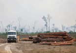 Living Planet -indeksin mukaan populaatioiden romahduksen tilanne on hälyttävin Väli- ja Etelä-Amerikassa. Kuva Brasiliasta Amazonasin osavaltiosta. LEHTIKUVA/AFP. 