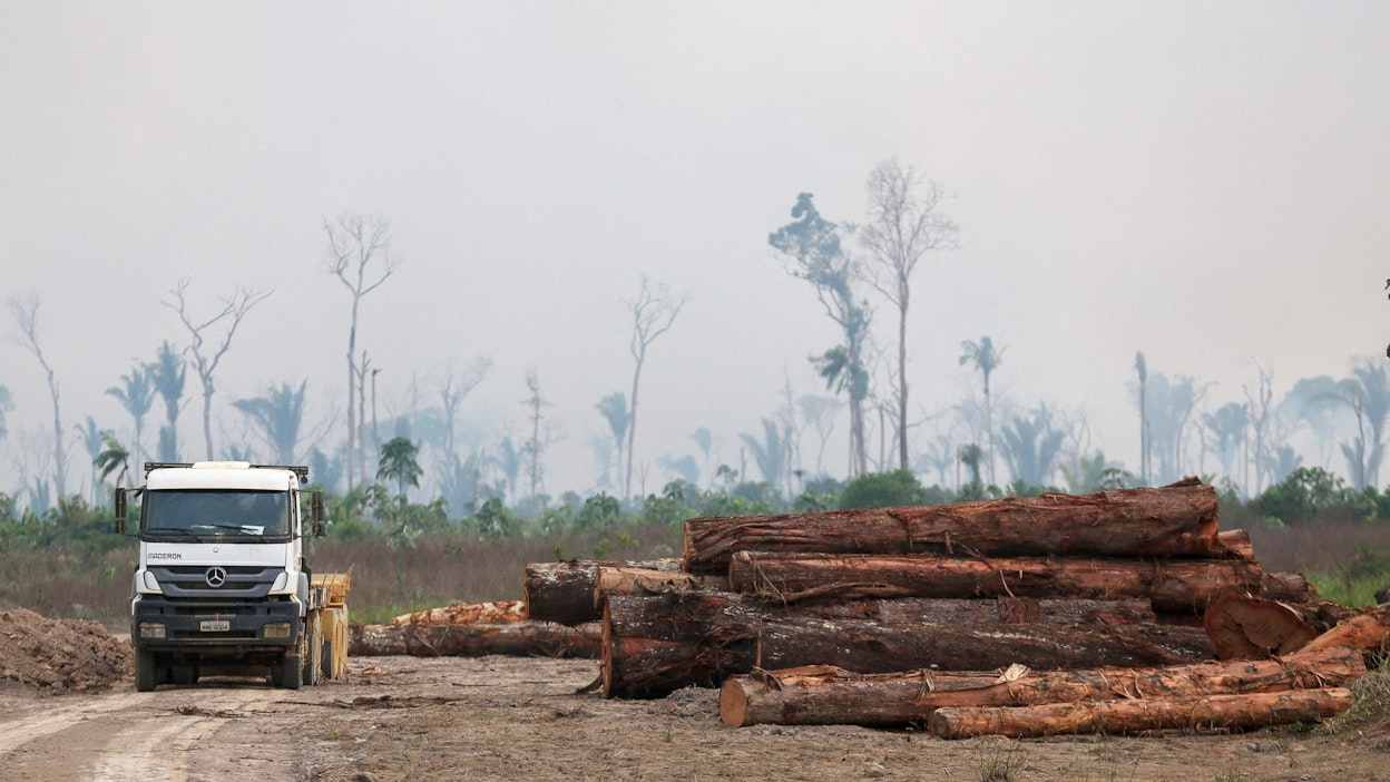 Living Planet -indeksin mukaan populaatioiden romahduksen tilanne on hälyttävin Väli- ja Etelä-Amerikassa. Kuva Brasiliasta Amazonasin osavaltiosta. LEHTIKUVA/AFP. 