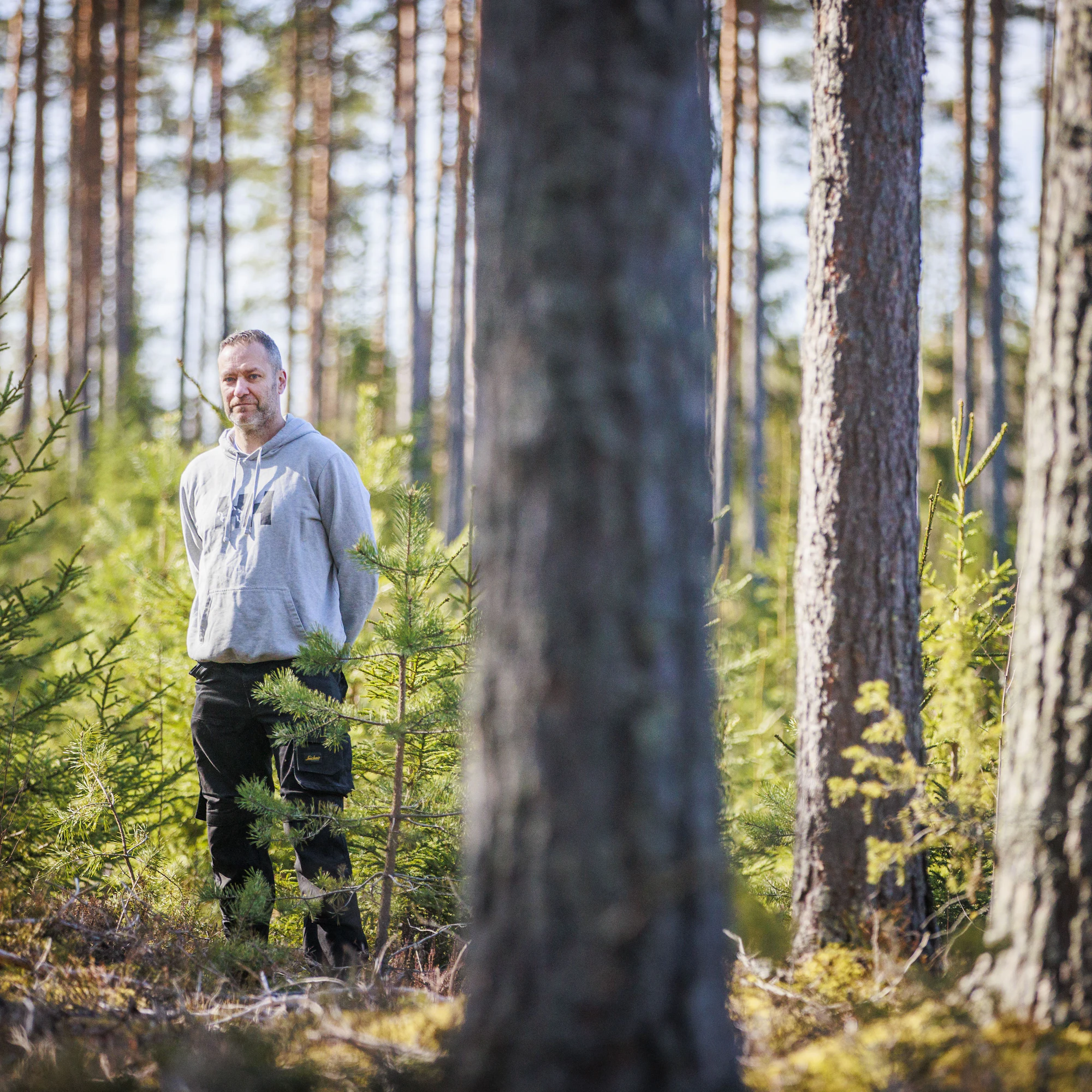 Juhani Stjernvall osaa suunnitella metsätalouttaan työnsä takia myös puunostajan näkökulmasta. Pienissä leimikoissa korjuukustannukset nousevat korkeiksi, kun koneita pitää siirrellä usein.