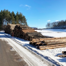 Vaikka ei olisi myynyt verovuonna puuta, metsätalouteen liittyvät kulut kannattaisi aina ilmoittaa verottajalle.